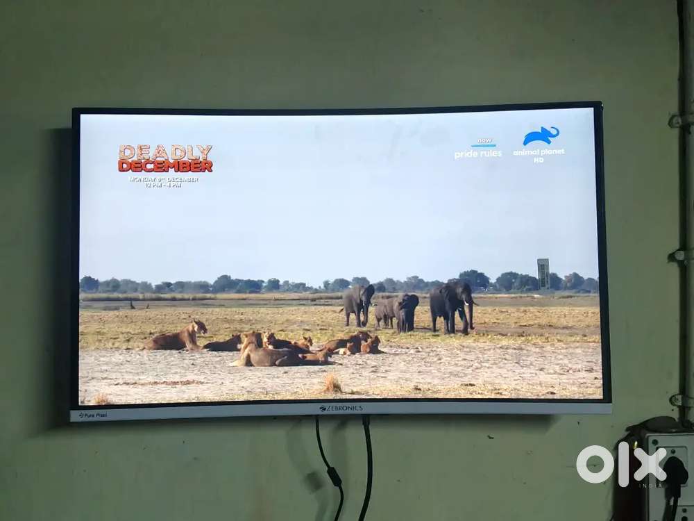 Zebronics gaming monitor 32 curved Led monitor 80cm