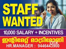 collection staff wanted