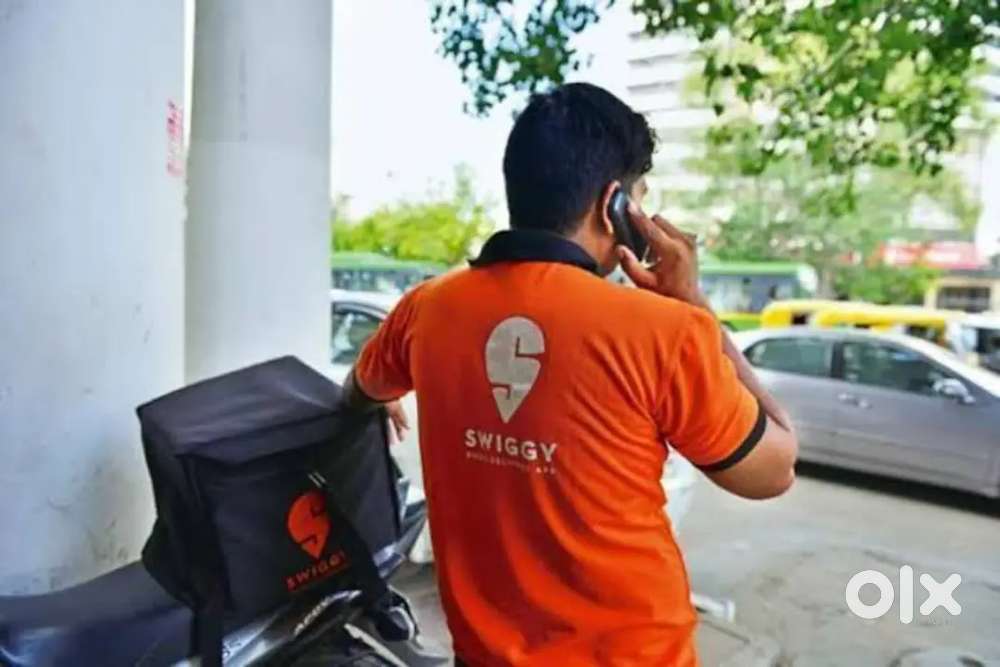 Swiggy food and instamart delivery job