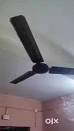 Ceiling fan