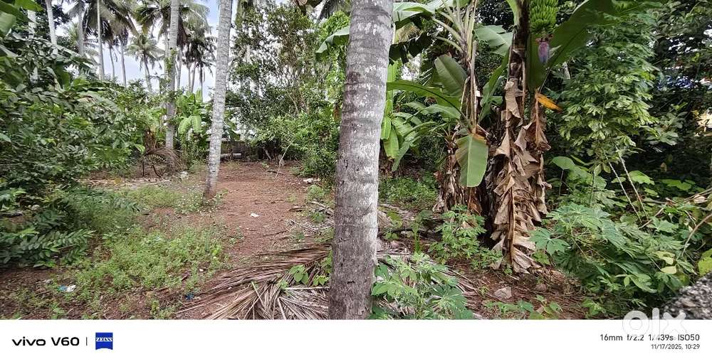 20/10 CENTS PRIME RESIDENCIAL PLOT FOR SALE  PIPINMOODU SASTHAMANGALAM