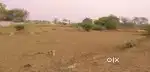 East Facing Open Plots: ELURU - Sanivarapupeta Beside ZP High School