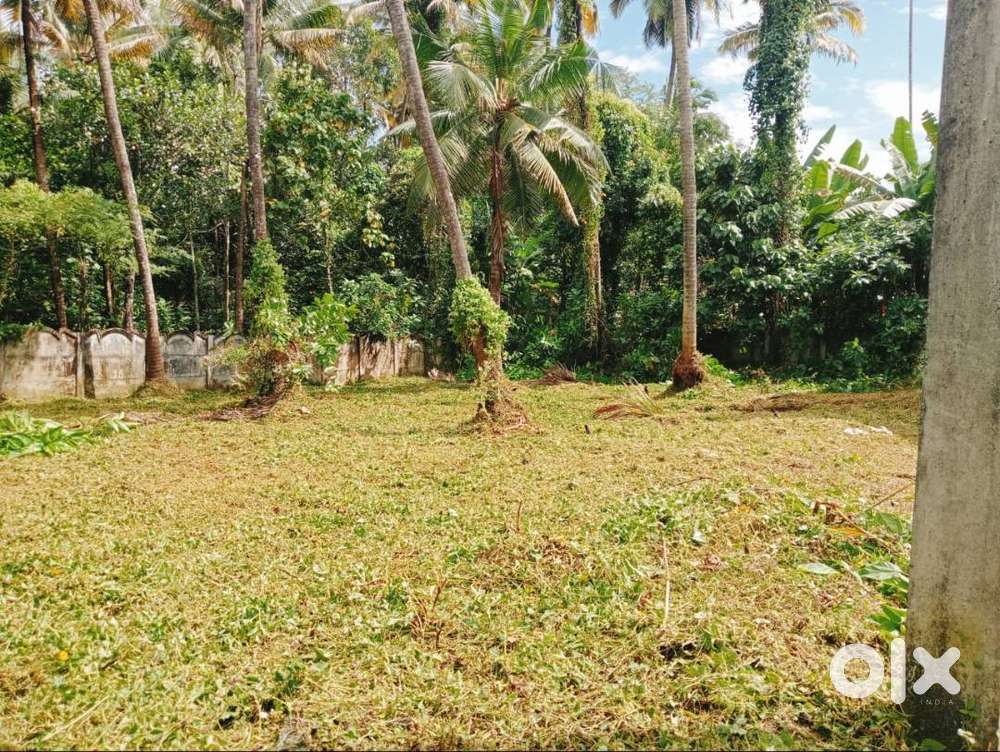 Urgent sale of 10.6 cent land with 200 m from chittilappily adat road