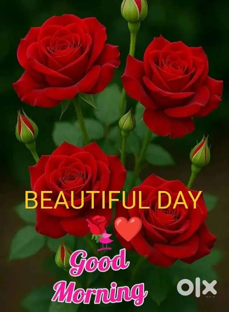 10 marla plot for sale babliana jammu 4.5 lakh per marla