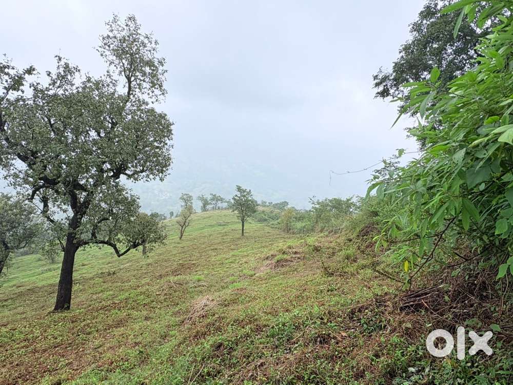 Land for sale in vilpatti limit