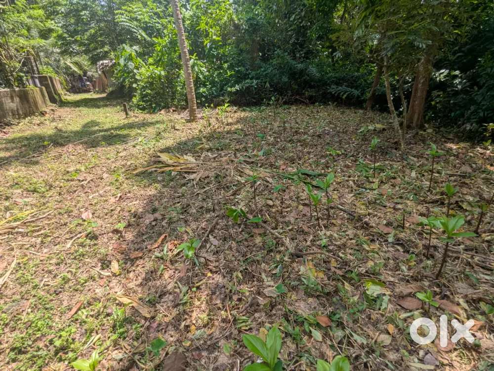 5 cent house plot for sale near piravom town