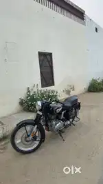 21 model standard bullet 350