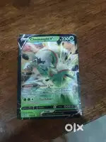 Chesnaught v