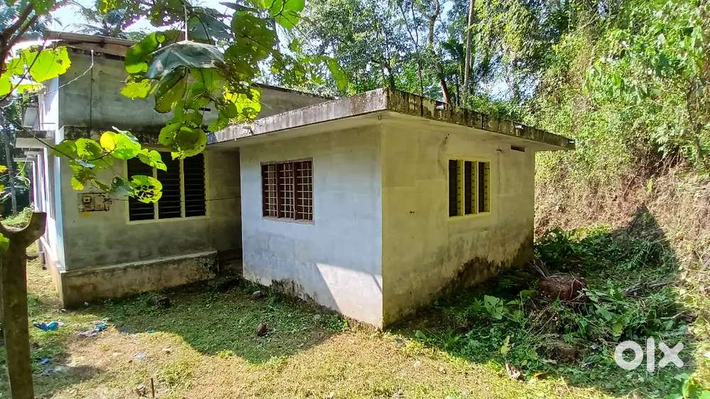 New plot and house kolathur north