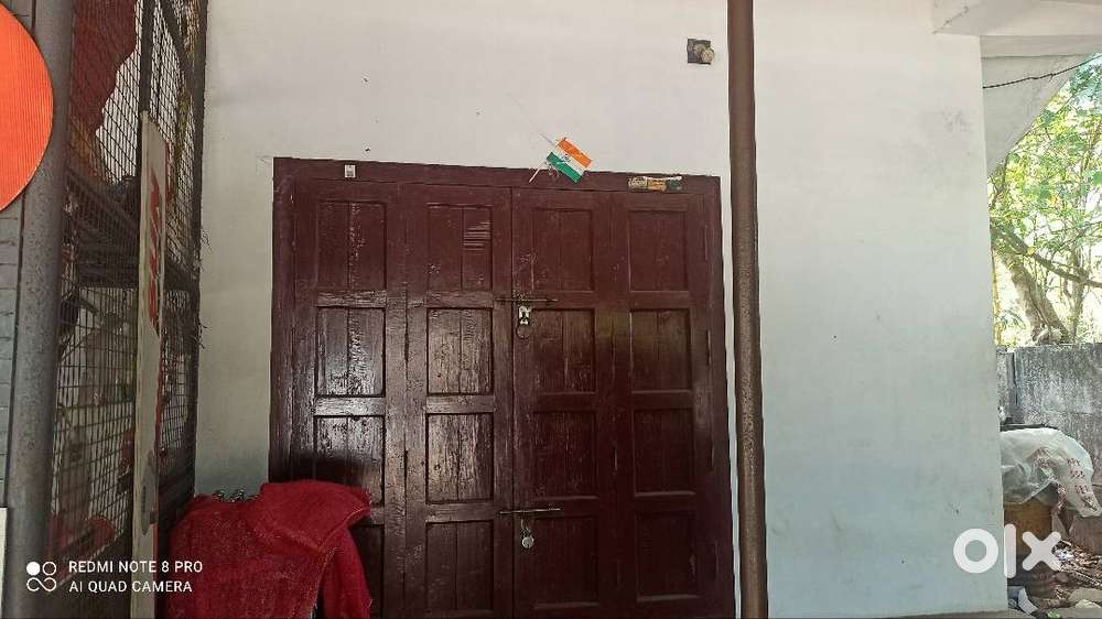 Suitable for shops and whole sale, retail storage etc.