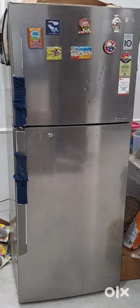 LG smart inverter 420 L