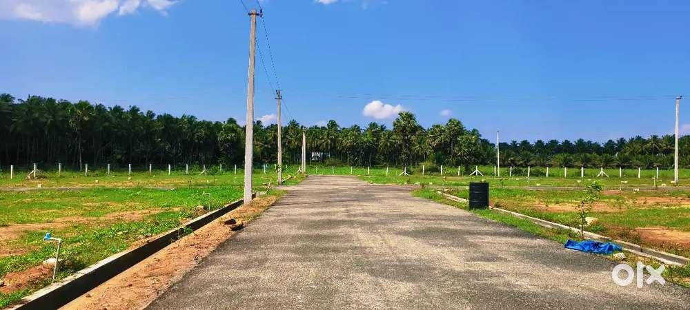 KINATHUKADAVU BUS STAND BACK SIDE DTCP PLOTS SALE