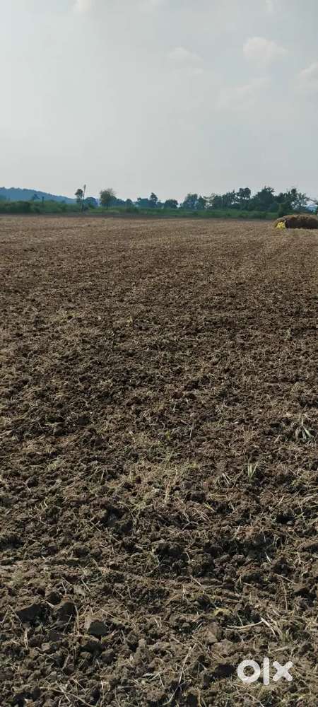 4 ACRE FULLY IRRIGATED LAND FOR SALE AT KHARANGNA MORANGNA