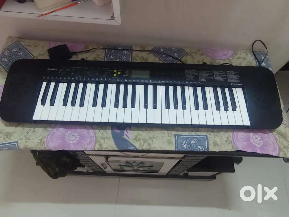 Casio CTK-245