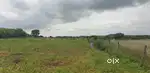 Farmland with attractive and instant return
