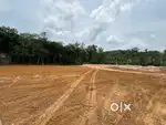 Budget plots direct owner plot 210000 per cent arakunnam