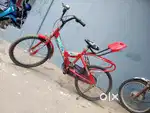 Red color cycle