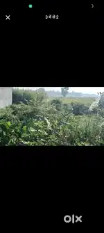Plot ( Nagar Nigam) caste (SC)