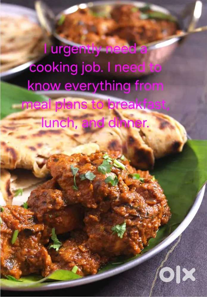 Experienced South Indian/North Indian cook