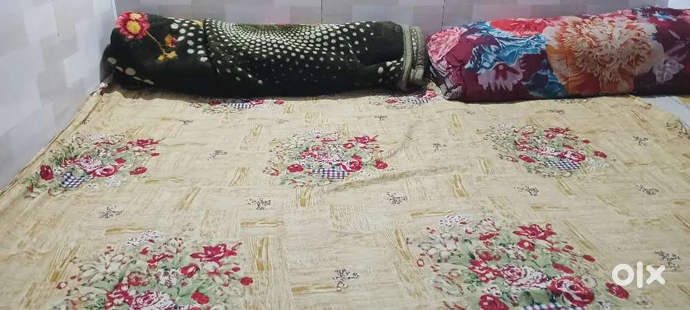 Need room partner