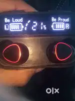 Earphone earburds