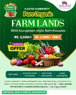 1210 Sqyds (1/4 Acre) Organic Farm Land Just Rs.48.40 Lakhs Only