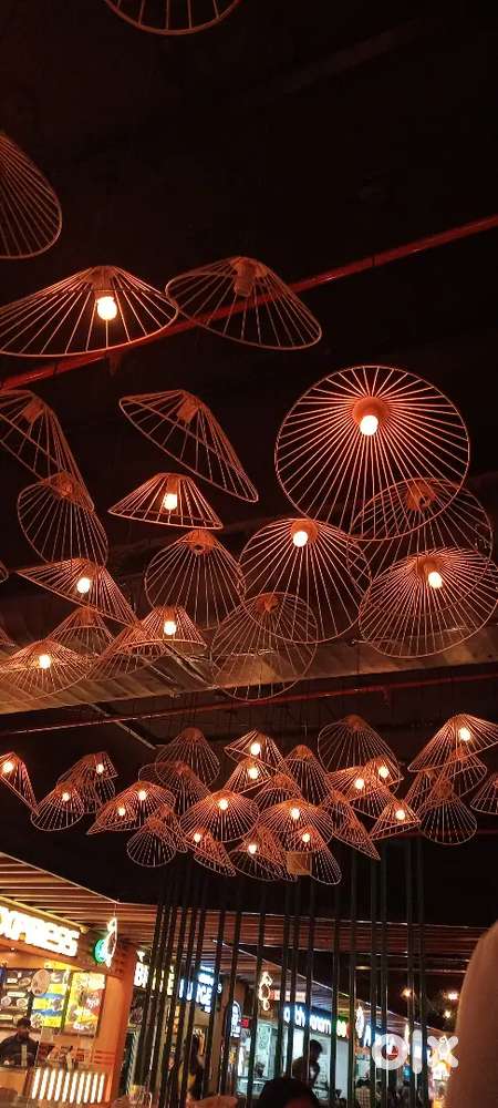 Need Fresher Females for Add Shoots