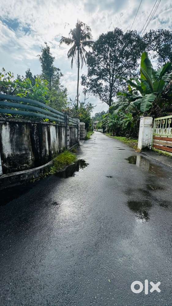 Premiuim plot for sale Kothamangalam