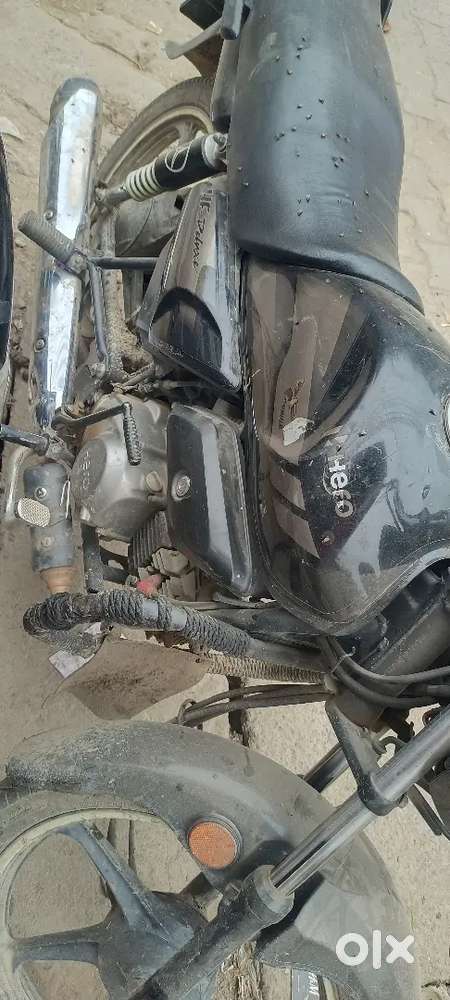 कोई कमी नहीं है phlea ओनर हैँ