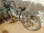 Cycle hercules