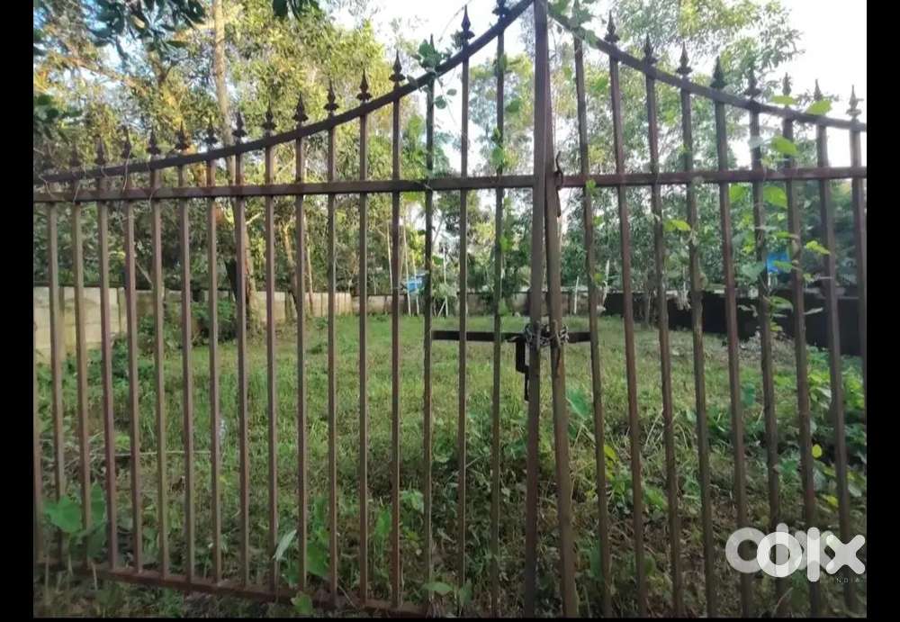 9½cent in kizhake 40 near കുറുപ്പൻ കുളങ്ങര