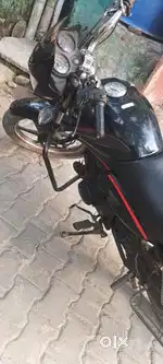 Honda shine 2013