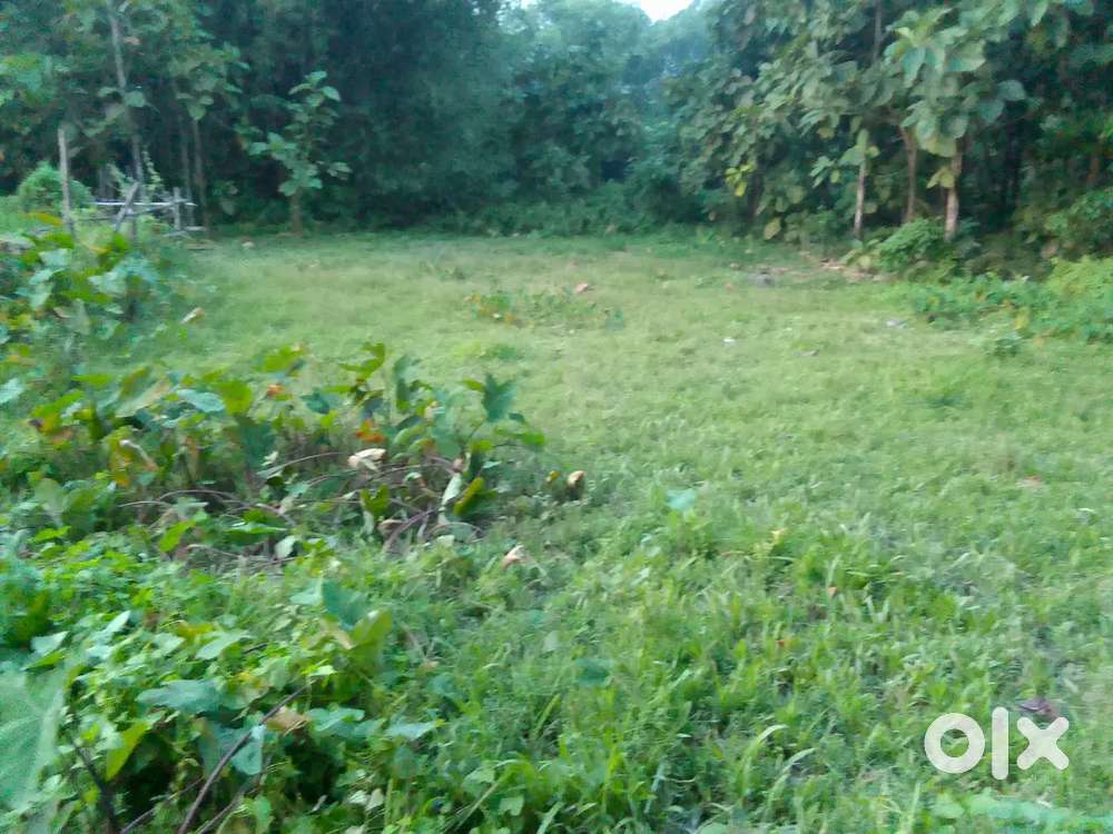 1 kotha 2 lesa Nalbari, Barama, Barjar