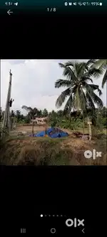 MAIN ROAD SIDE LAND FOR SALE IN MANCHILI TOTAL 10 CENTS