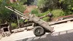 Bel buggy for village town