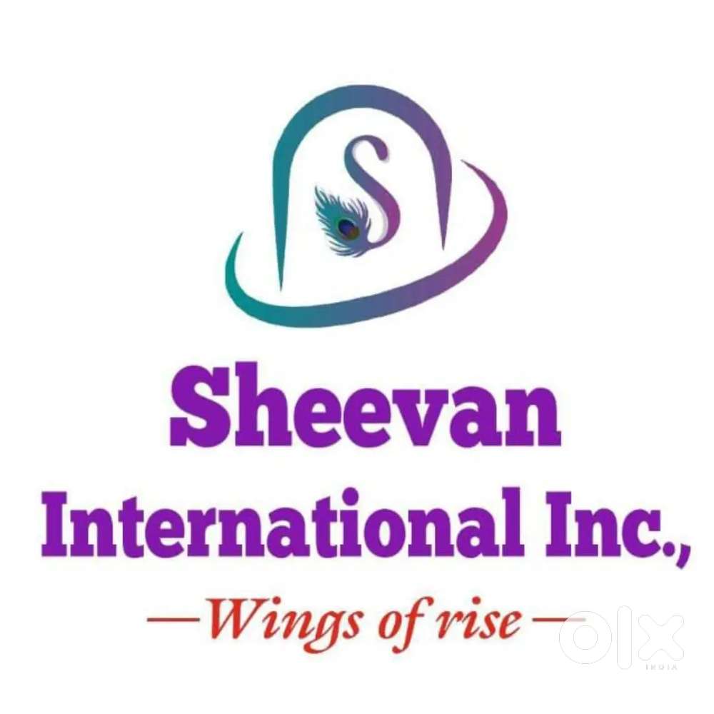 Sheevan job placement service