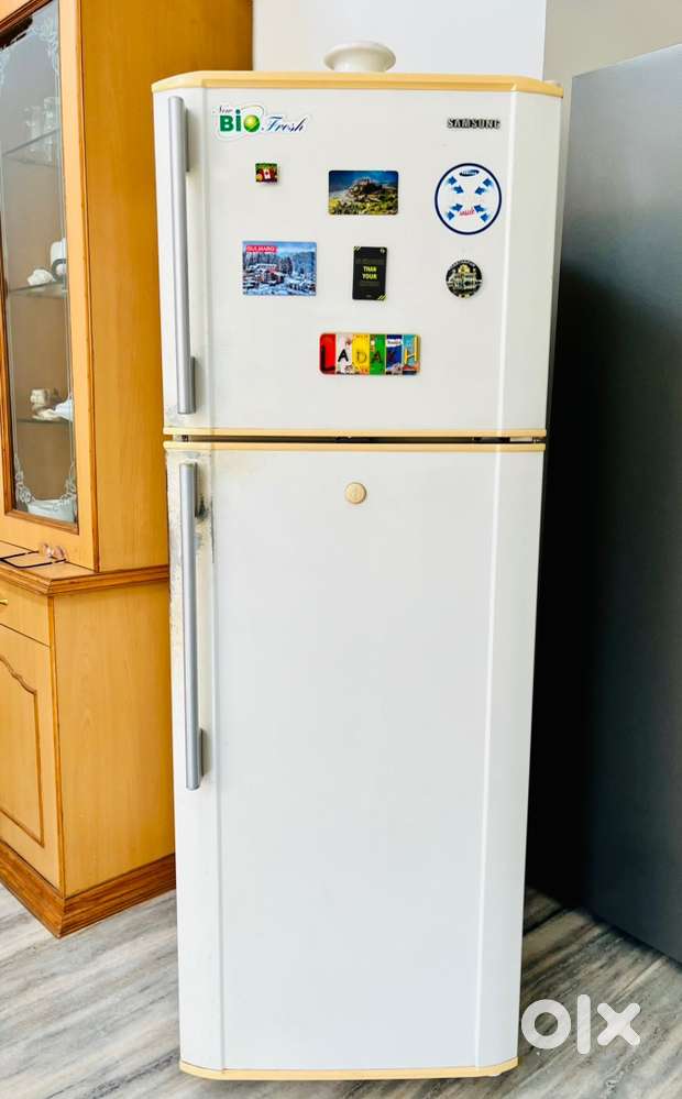Samsung 280L, Double Door Fridge