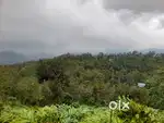 4.5 Acre Cardamom Estate Land for Sale at Valavucodu, 9 Acre Spot