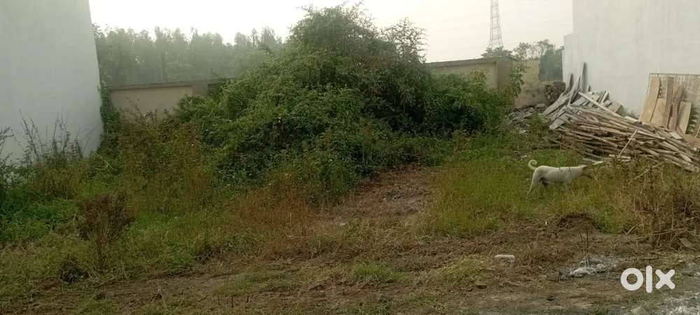 2.5 km from Eru char rasta, navsari, Dandi road, Ethan