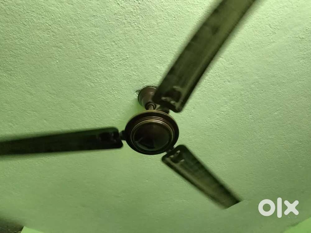 Brand new Fan for home