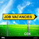 15 CANDIDATES REQUIRED