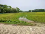 3 Bigha Myadi Land for Sale. 42.5 Lacks Per Bigha