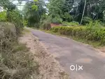24 CENT LAND FOR SALE AT INFOPARK PHASETO