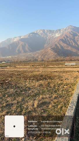 Urgent sale of land at Saidpora humchi, near life line school