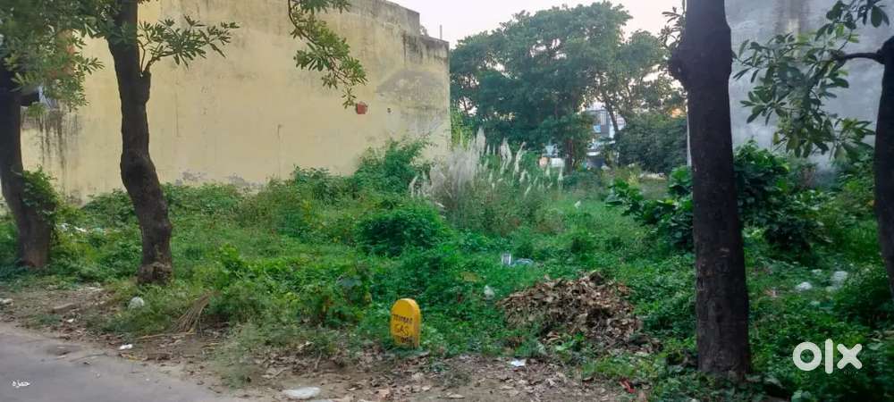 Ekta vihar colony North 200 meter plot on 10 meter road for sell