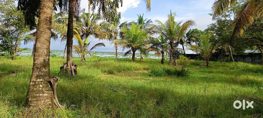 Kayal frontage 4.5 acre with house