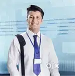 BANK COLLECTION EXECUTIVE