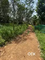 13 cent land for sale