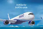 Hiring For fresher male, female both candidate Apply Now Ground Staff