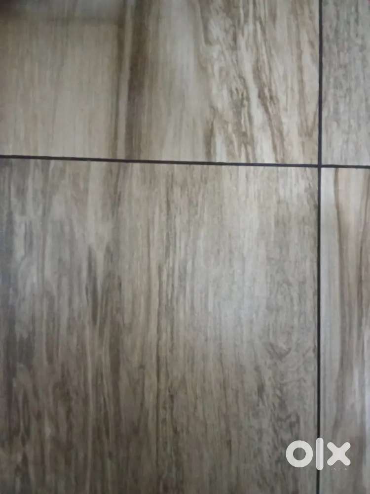 Tele caller cum Reception